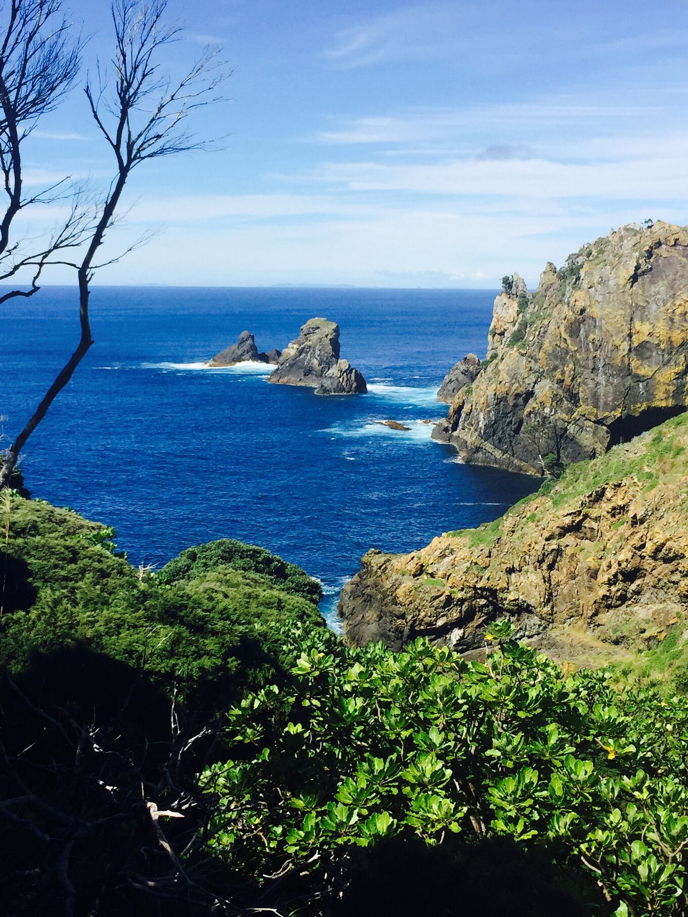 Looking Back From Muriwhenua