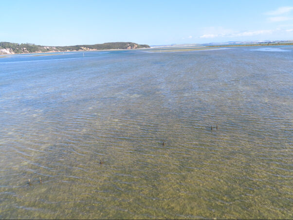 Muriwhenua Coast